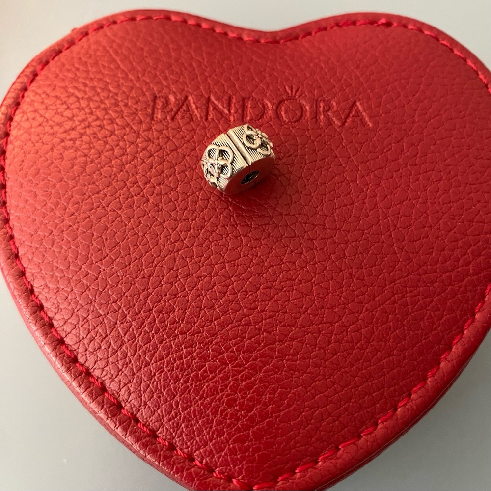 Pandora Clip Charm